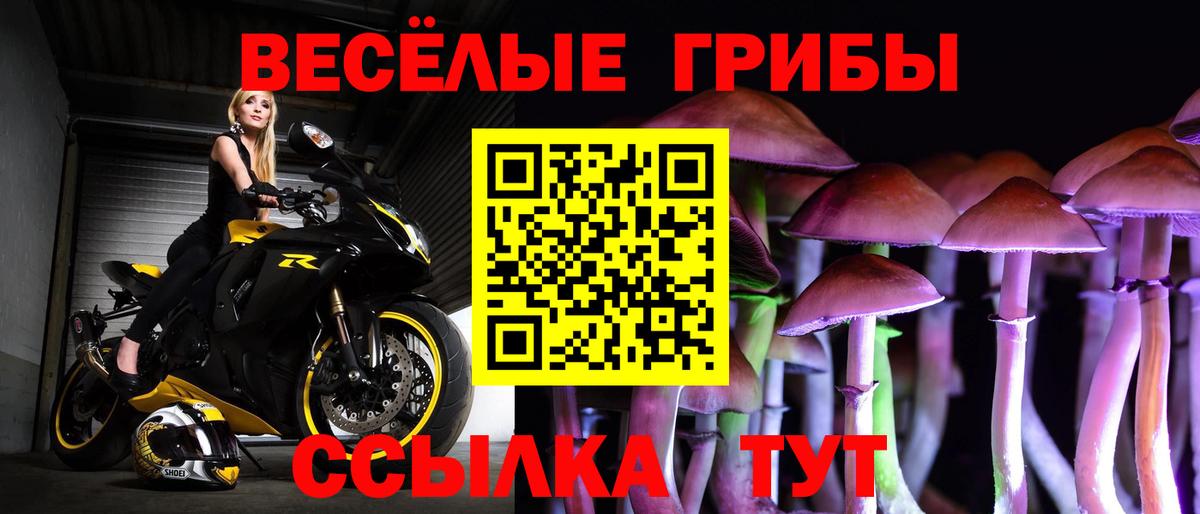 Псилоцибиновые грибы Cubensis  Галлюциногенные грибы мицелий  Вход с VPN  Кольчугино 
